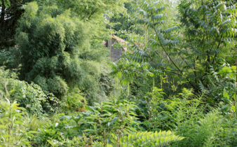 Le Clos du Coudray en Normandie, un jardin de famille inspiré des jungles d'Asie