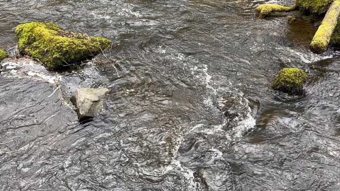 L'eau du ruisseau - Morvan