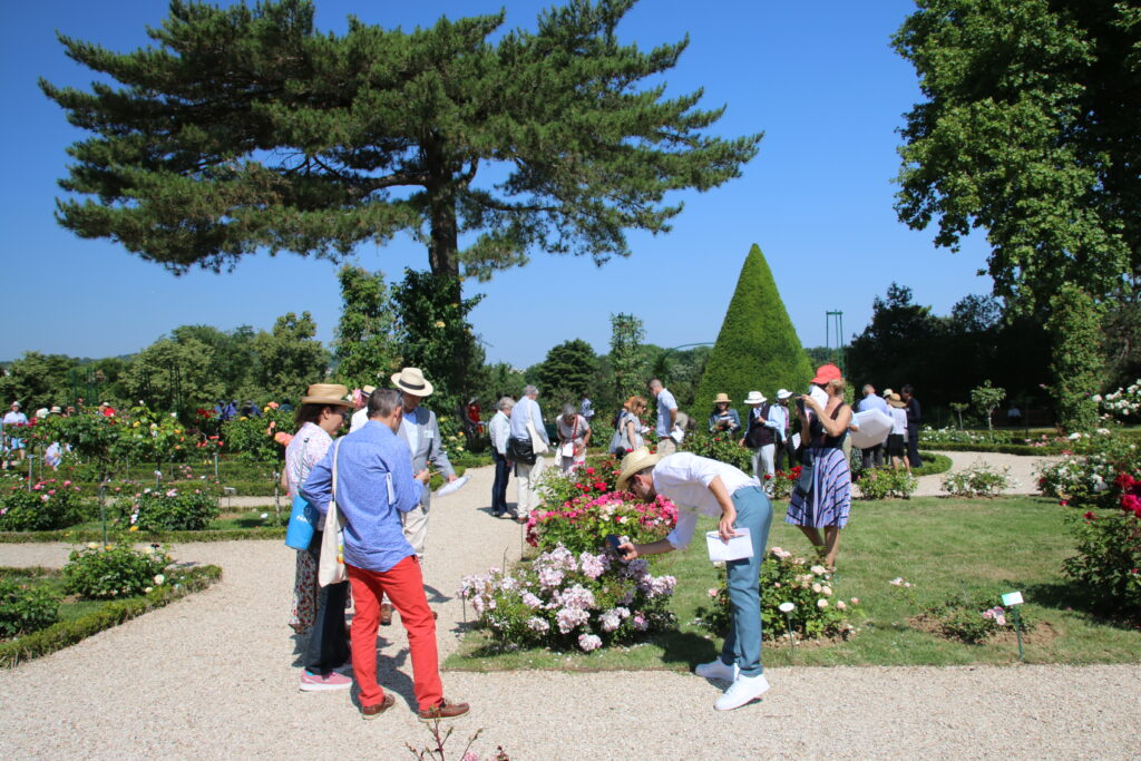 Concours de la rose nouvelle à bagatelle. Le jury au travail.