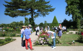 Concours de la rose nouvelle à bagatelle. Le jury au travail.