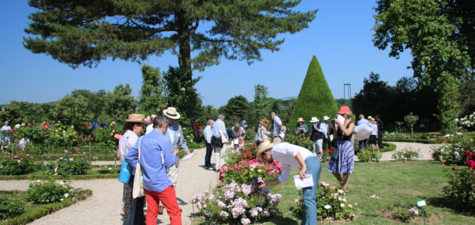 Concours de la rose nouvelle à bagatelle. Le jury au travail.