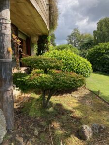 Jardin de Georges MEAR -Brest - Prix Jardins Secrets 2023