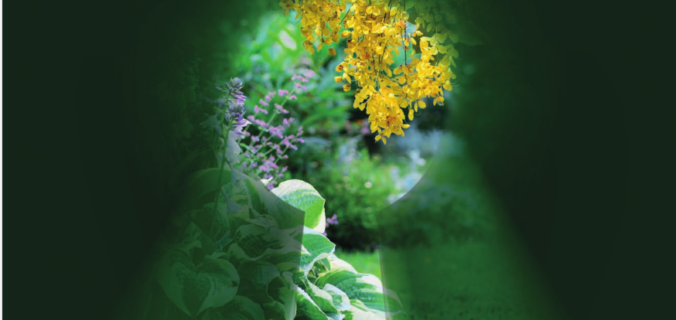 Concours Jardins secrets - affiche 2026