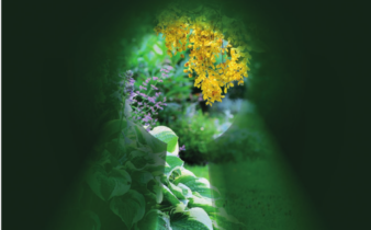 Concours Jardins secrets - affiche 2026